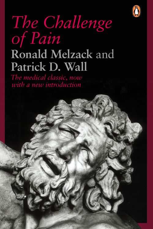 Cover Art for 9780140256703, The Challenge of Pain by Ronald Melzack, Patrick D. Wall