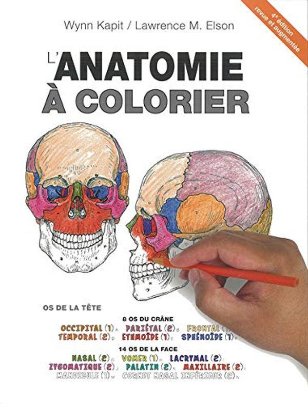 Cover Art for 9782224035457, L'anatomie à colorier by Wynn Kapit, Lawrence-m. Elson