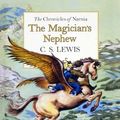 Cover Art for 9780007126088, The Magician's Nephew by C. S. Lewis