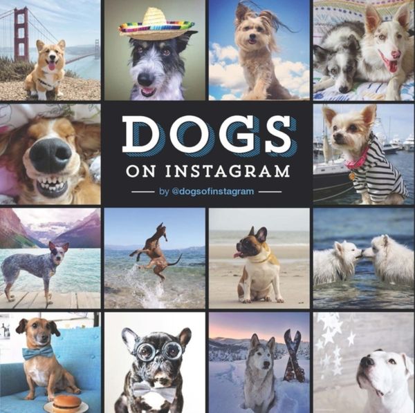 Cover Art for 9781452151977, Dogs of Instagram by @dogsofinstagram