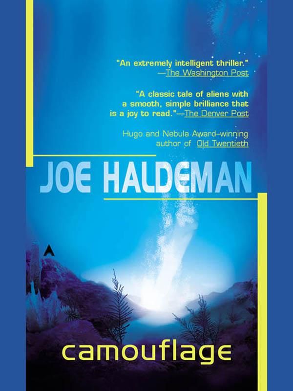 Cover Art for 9781101208304, Camouflage by Joe Haldeman