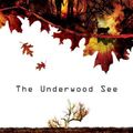 Cover Art for 9780060724832, The Underwood See by Michael Lawrence