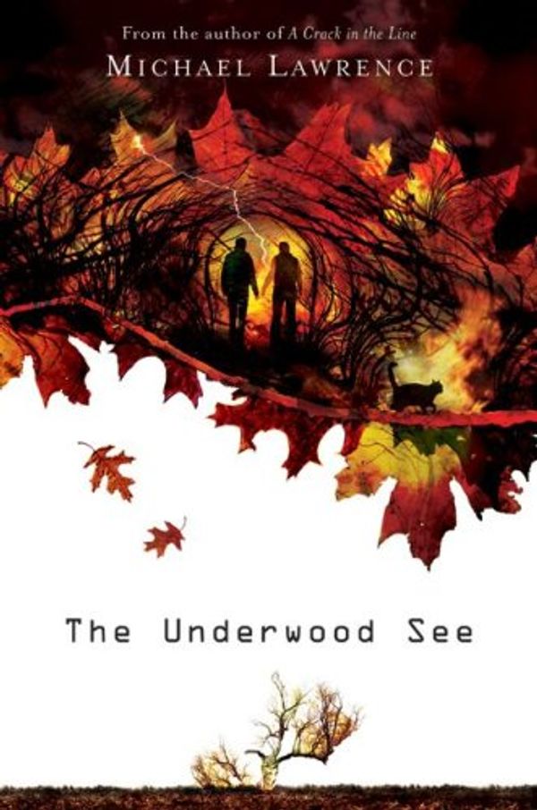 Cover Art for 9780060724832, The Underwood See by Michael Lawrence