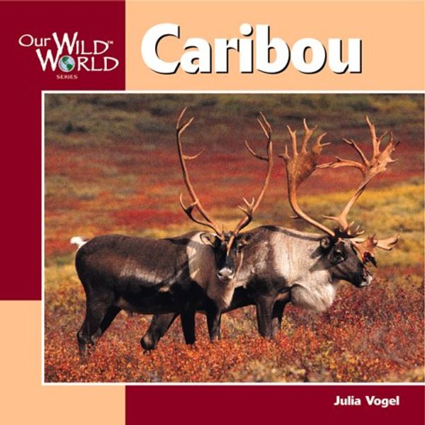 Cover Art for 9781559718127, Caribou by Julia Vogel
