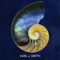 Cover Art for 9781133947257, Nature of Mathematics by Karl Smith