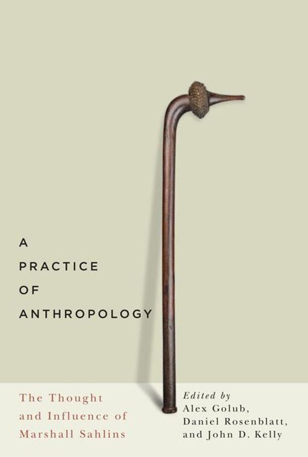 Cover Art for 9780773598638, A Practice of Anthropology by Alex Golub, Daniel Rosenblatt, John D. Kelly