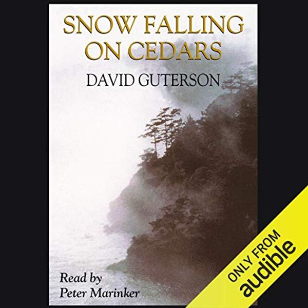 Cover Art for B00NW4BEXS, Snow Falling on Cedars by David Guterson