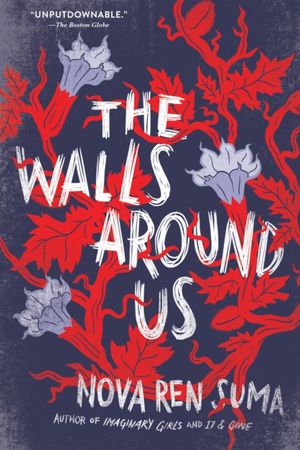 Cover Art for 9781616205904, The Walls Around Us by Nova Ren Suma