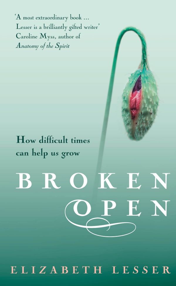 Cover Art for 9781844135615, Broken Open by Elizabeth Lesser