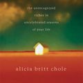 Cover Art for 9781418576868, Anonymous by Alicia Britt Chole