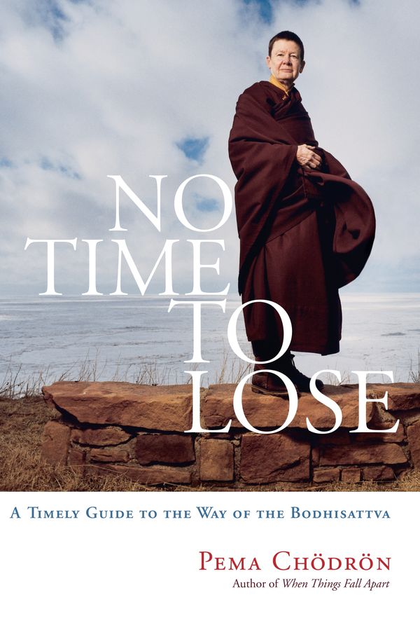 Cover Art for 9781590304242, No Time To Lose by Pema Chodron