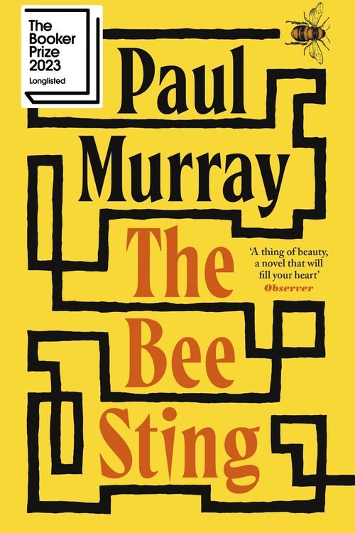 Cover Art for 9780241353967, The Bee Sting by Paul Murray