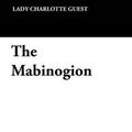 Cover Art for 9781434456823, The Mabinogion by Lady Charlotte Guest