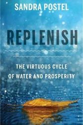 Cover Art for 9781610917902, ReplenishThe Virtuous Cycle of Water and Prosperity by Sandra Postel
