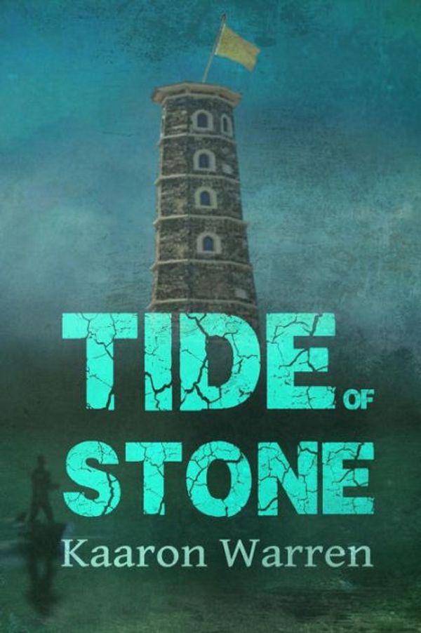 Cover Art for 9780615827995, Tide of Stone by Kaaron Warren