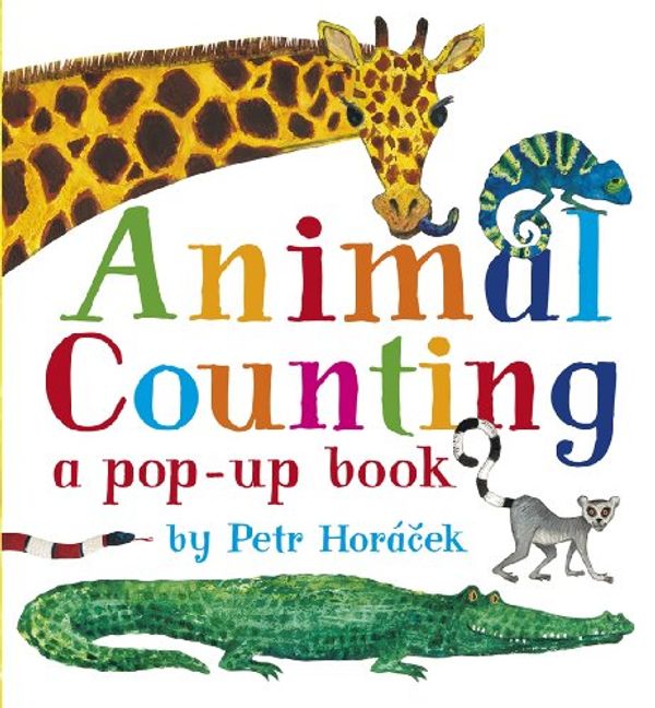 Cover Art for 9781406337617, Animal Counting by Petr Horacek