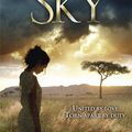 Cover Art for 9781848666177, African Sky by Tony Park