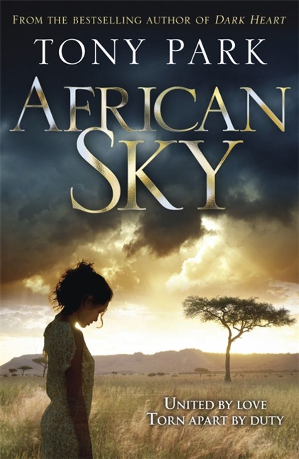 Cover Art for 9781848666177, African Sky by Tony Park
