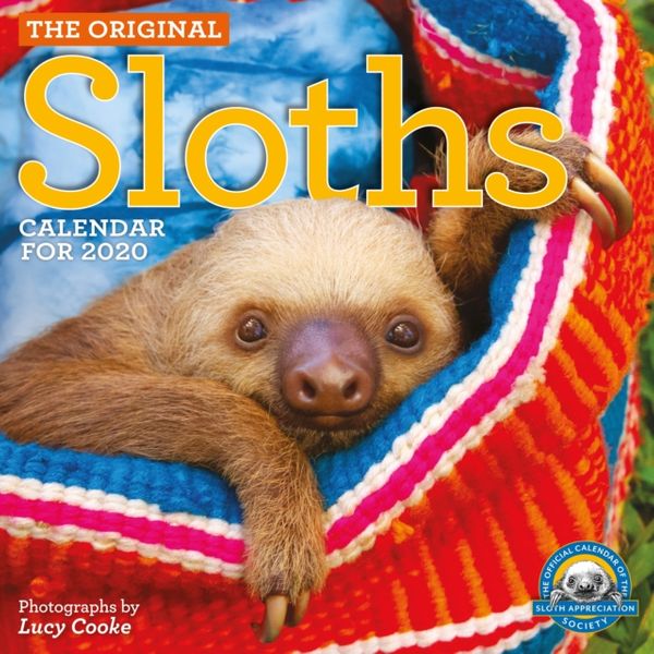 Cover Art for 9781523505777, Original Sloths Wall Calendar 2020 by Lucy Cooke