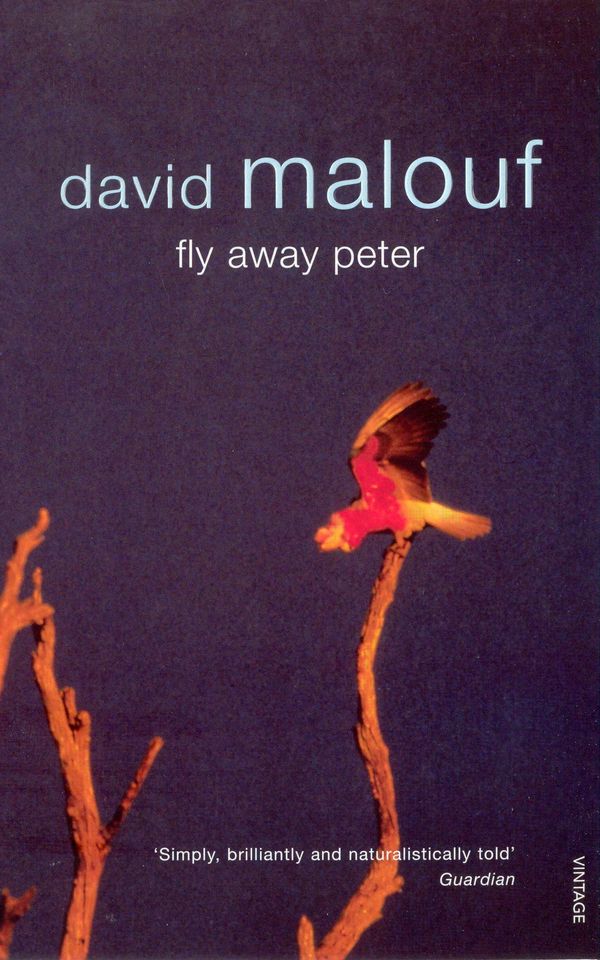 Cover Art for 9781409029861, Fly Away Peter by David Malouf