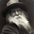 Cover Art for 9780486456768, Leaves of Grass by Walt Whitman