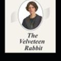 Cover Art for 9798756848960, The Velveteen Rabbit by Margery Williams