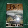 Cover Art for 9780739413449, Wish You Well by David Baldacci
