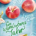Cover Art for B00QPH1BX2, Ein wunderbares Jahr: Roman (German Edition) by Laura Dave
