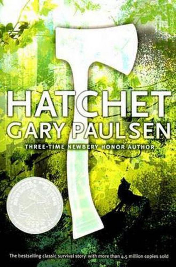 Cover Art for 9781417768837, Hatchet by Gary Paulsen