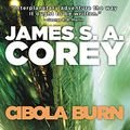 Cover Art for B00FPQA4F0, Cibola Burn by James S. A. Corey