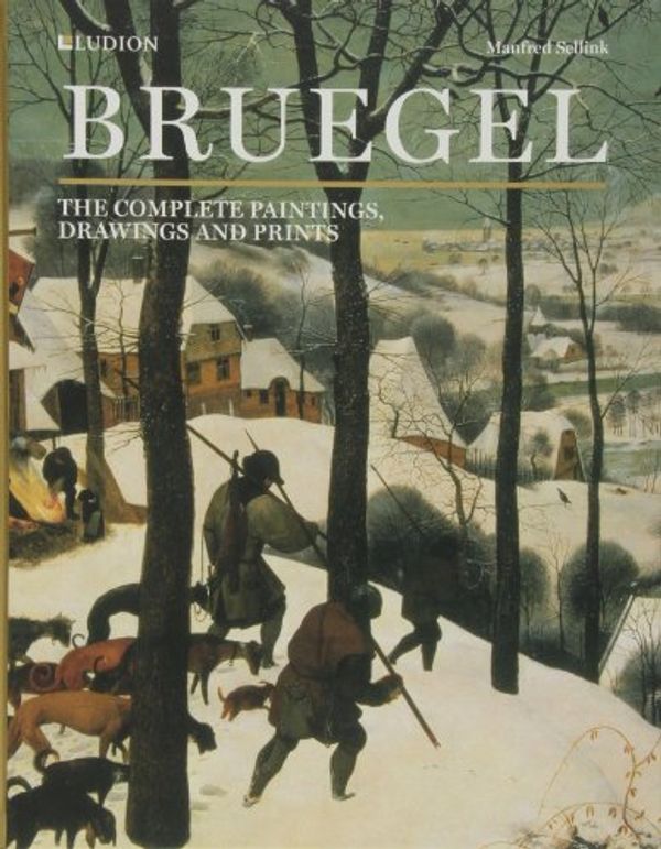 Cover Art for 9789461300423, Bruegel by Manfred Sellnik