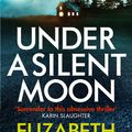 Cover Art for 9780751549591, Under a Silent Moon by Elizabeth Haynes