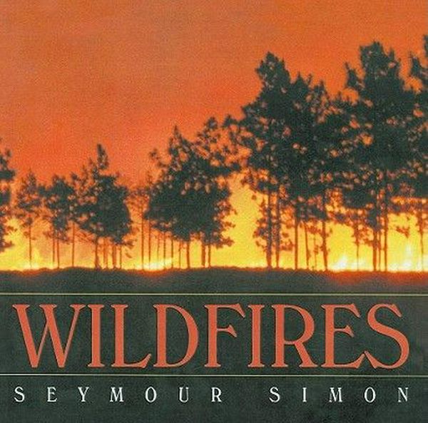 Cover Art for 9780756908195, Wildfires by Seymour Simon