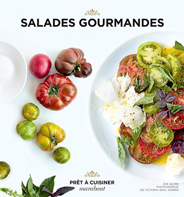 Cover Art for 9782501100298, Salades by Sue Quinn