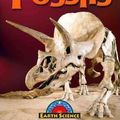 Cover Art for 9781605969732, Fossils by Megan Lappi