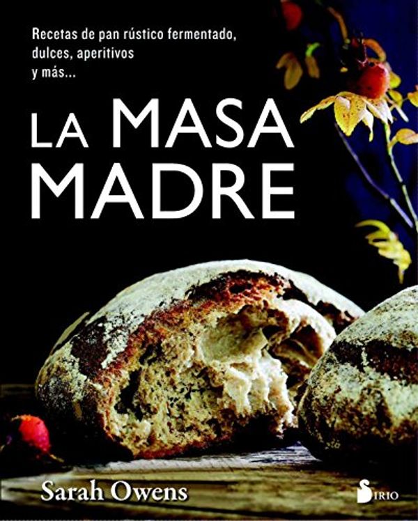 Cover Art for 9788417030438, La Masa Madre by Sarah Owens
