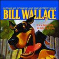Cover Art for 9781481431446, Great Escape by Bill Wallace
