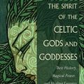 Cover Art for 9781578637171, The Spirit of the Celtic Gods and Goddesses: Their History, Magical Power, and Healing Energies by Carl McColman, Kathryn Hinds
