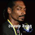 Cover Art for 9781422225158, Snoop Dogg by Z. B. Hill
