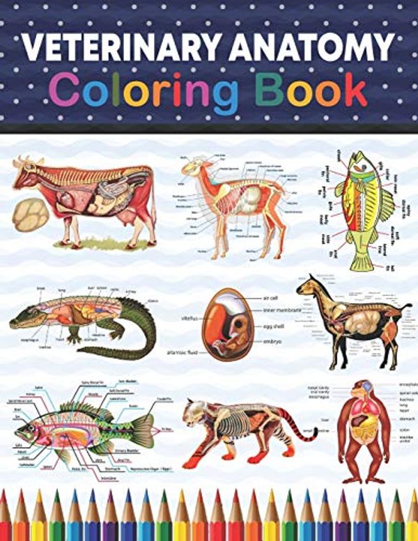 Veterinary Anatomy Coloring Book Incredibly Detailed SelfTest