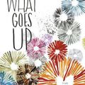 Cover Art for 9780062387981, What Goes Up by Christine Heppermann