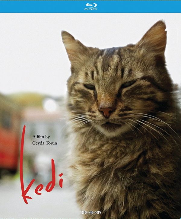 Cover Art for 0857490005448, Kedi [Blu-ray] by Oscilloscope