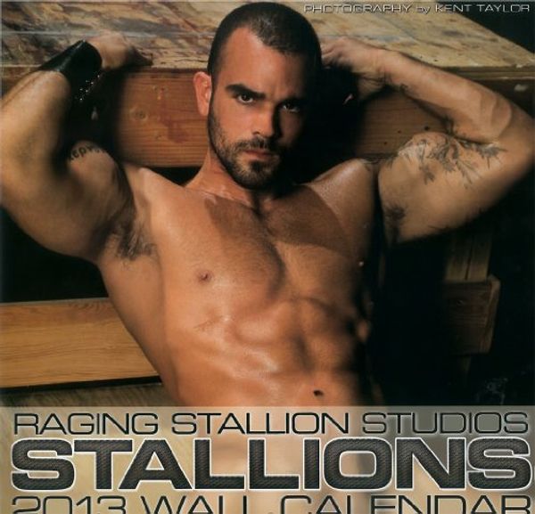 Cover Art for 9781935478997, Stallions Wall Calendar 2013 by Raging Stallion Studios