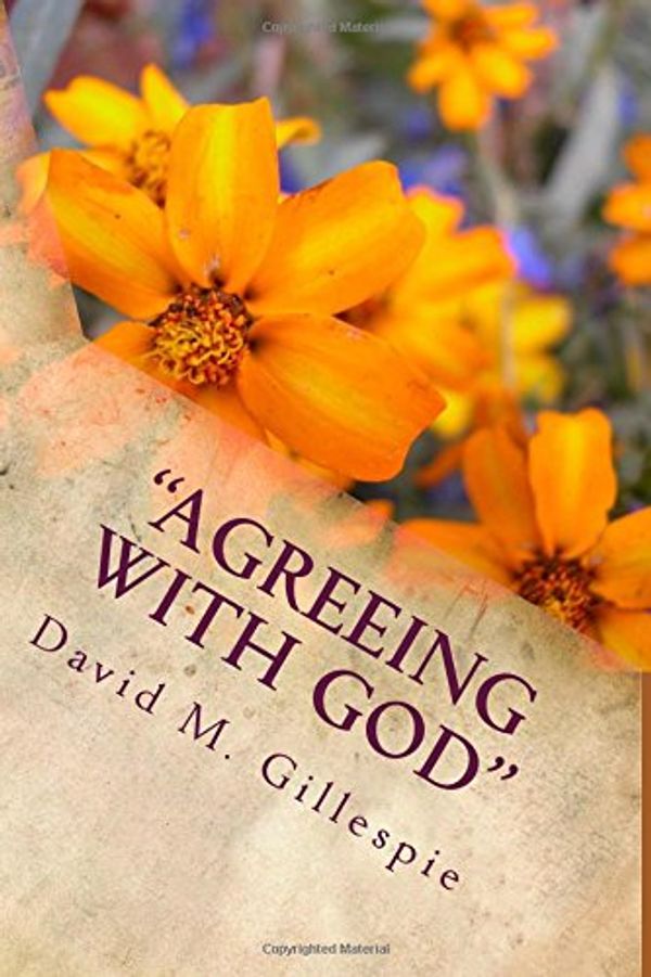Cover Art for 9781519204844, Agreeing with GodA One Year Daily Devotional by Mr. David Gillespie
