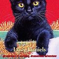 Cover Art for 9781840325577, Cat's Cradle (Animal Ark Pets #22) by Lucy Daniels