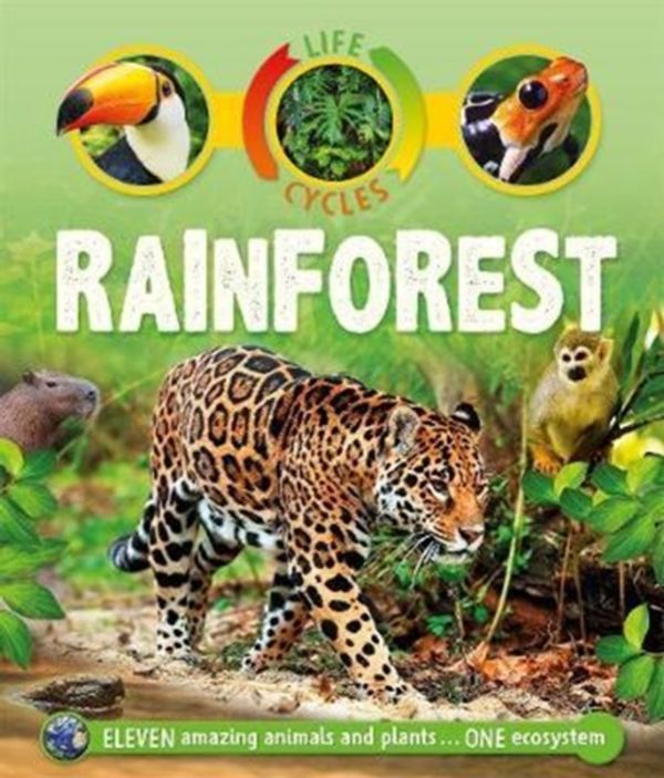 Cover Art for 9780753442807, Life Cycles Rainforest by Sean Callery