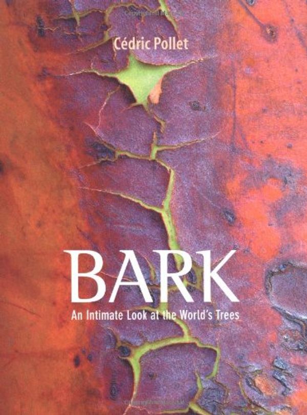 Cover Art for 9780711231375, Bark by Cedric Pollet