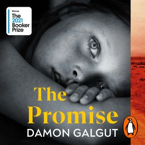 Cover Art for 9781473593077, The Promise by Damon Galgut, Peter Noble