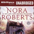 Cover Art for 9781480511156, Dark Witch (Cousins O'Dwyer Trilogy) by Nora Roberts