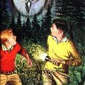 Cover Art for 9780006922360, The Clue of the Screeching Owl (Hardy Boys Mystery Stories) by Franklin W. Dixon